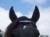 Personalised Browband with Diamante Letters