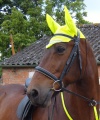 Fly Mask