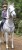 Rechargeable -Flashing Horse Breastplate