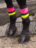 ''Combi Brite'' Deluxe Legbands