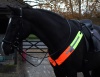 Combi Brite Horse Bib[1]