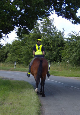 PINK /YELLOW PASS  HORSE RIDING HI-VIS SAFETY VEST EQUESTRIAN HIGH VIZ RIDER 